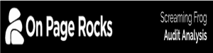 Screaming Frog Audit Report - header