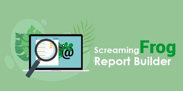 Screaming Frog report builder